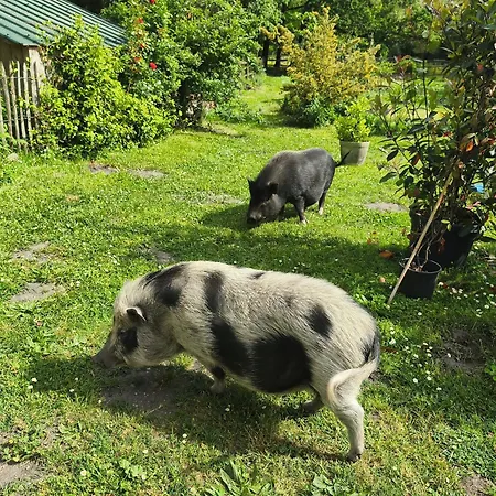 Villa Loft 8 Pers à La Ferme - Nature, Océan&lacs Du Médoc