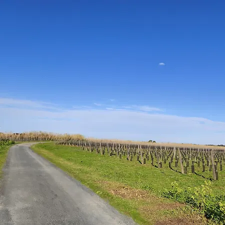 Loft 8 Pers A La Ferme - Nature, Ocean & Lacs Du Medoc Вилла